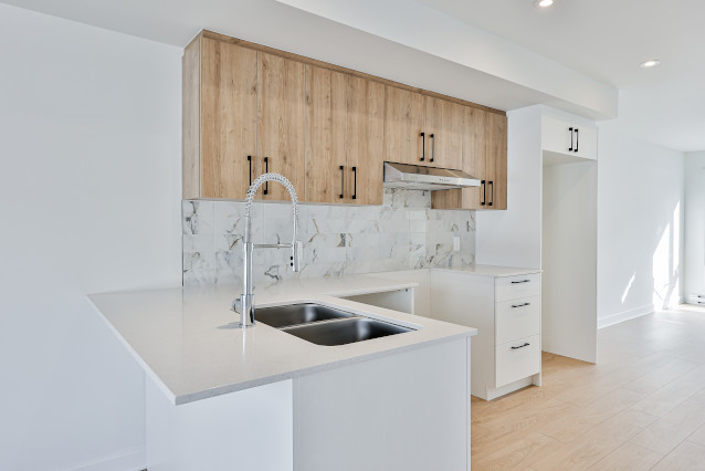 Triplex Boise Chaumont Saint-Jerome